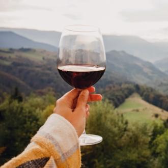 Calice di vino rosso con vista panoramica su colline verdi.