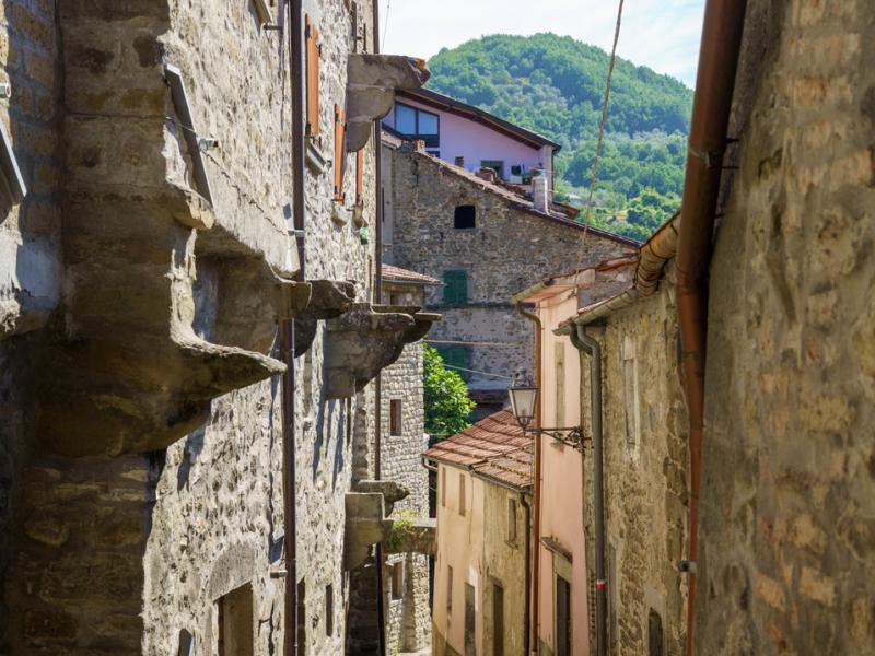 Vicoli stretti con case in pietra, tipico borgo medievale immerso nel verde.
